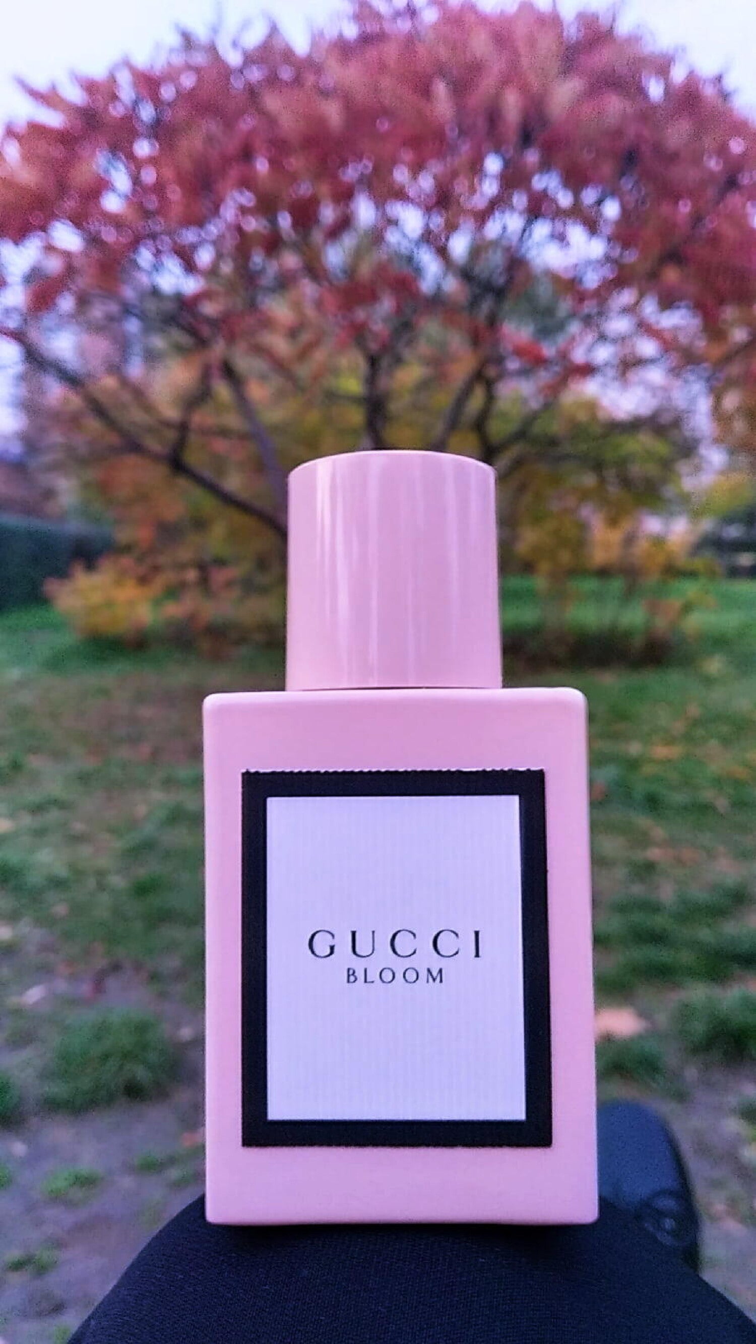 Gucci Bloom