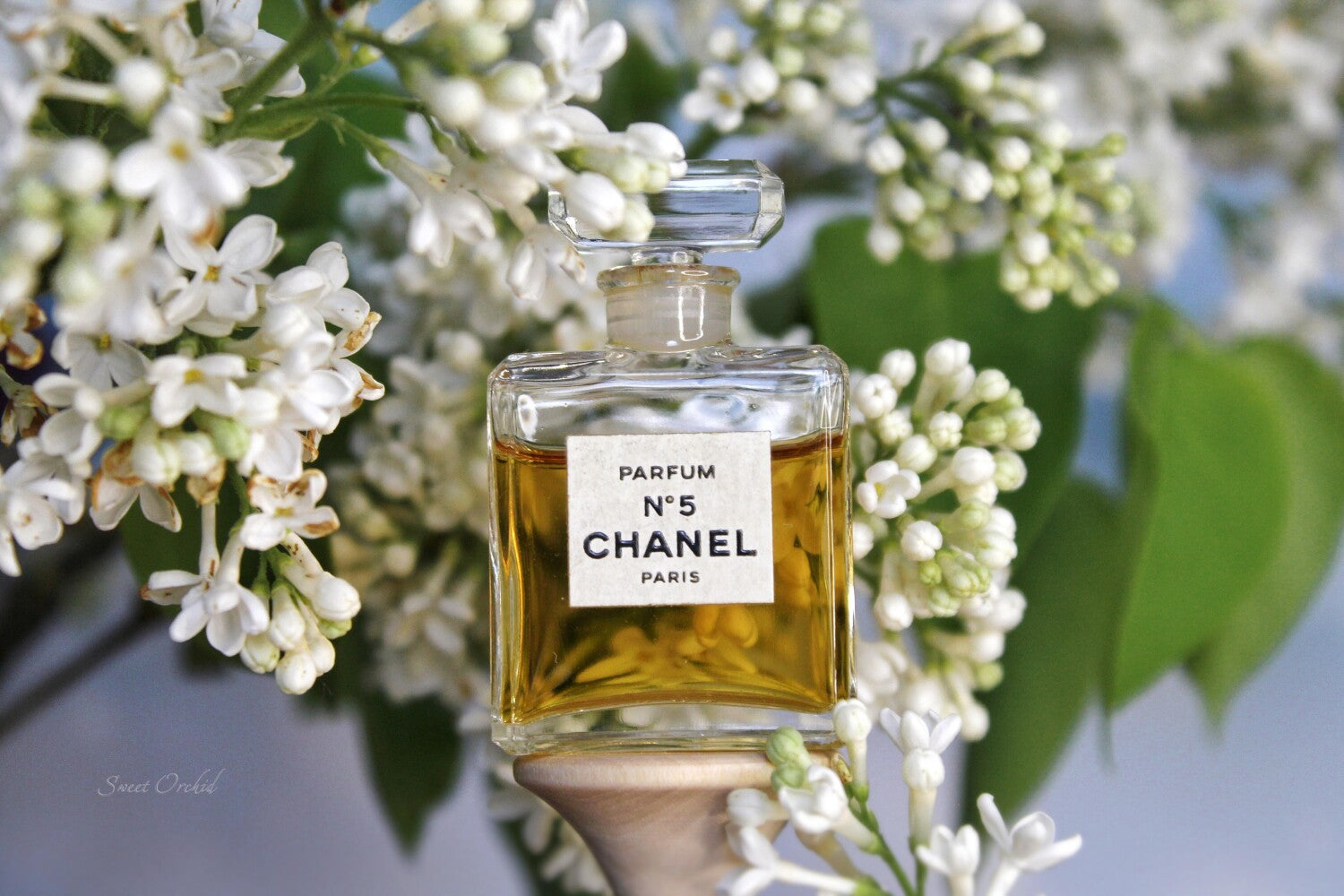 Chanel N°5