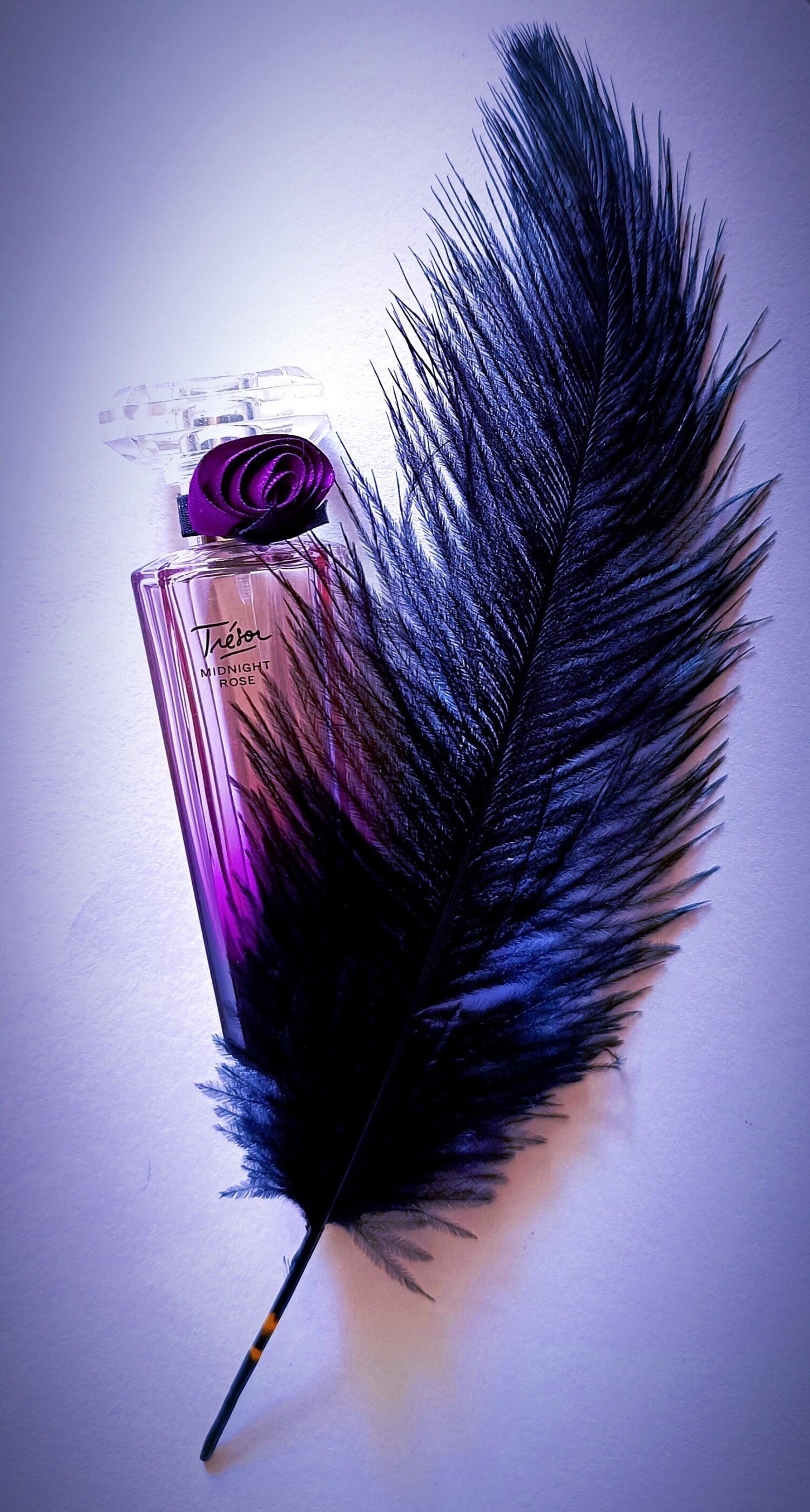 Trésor Midnight Rose