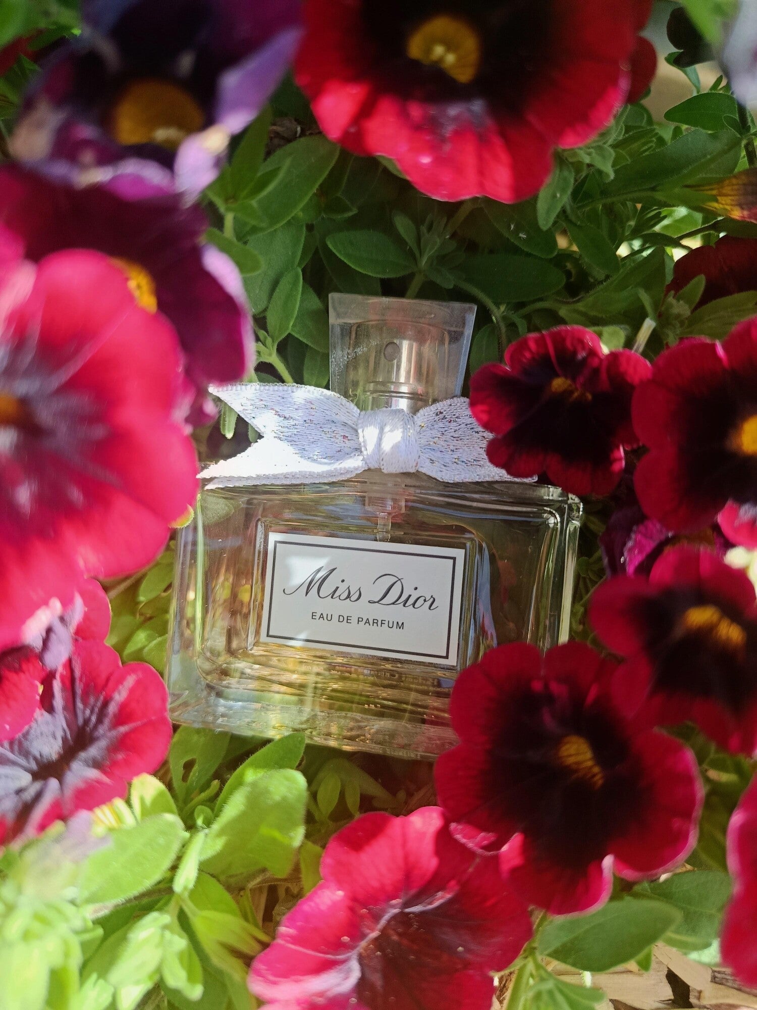 Miss Dior