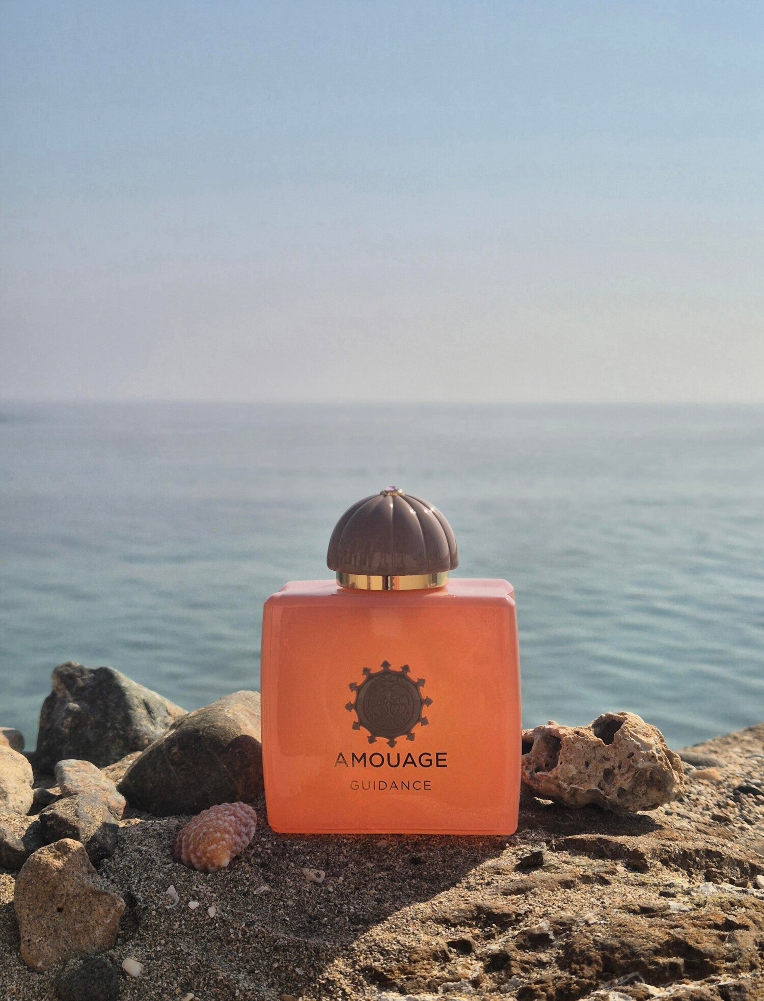 Amouage Guidance