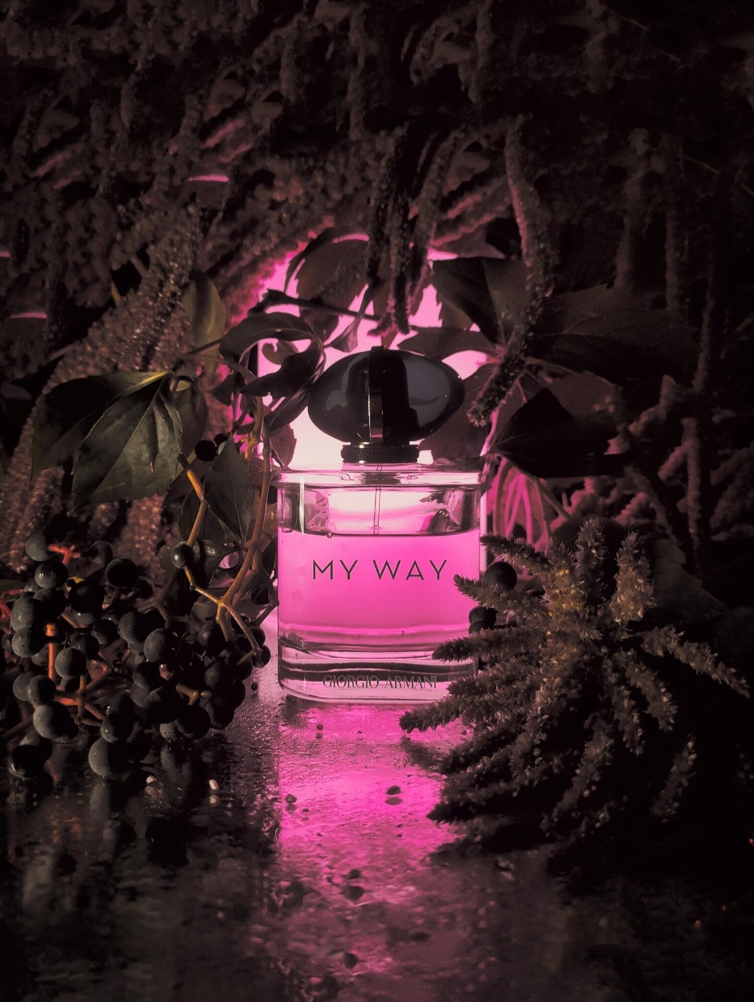 My Way