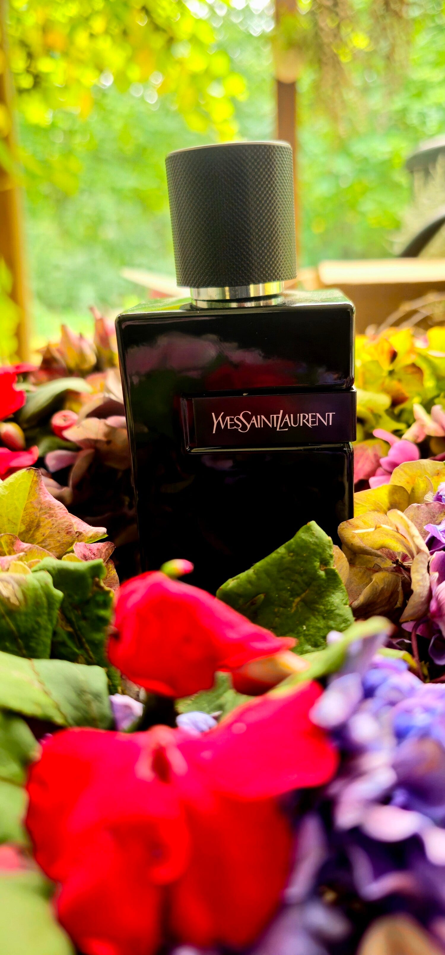 Y Yves Saint Laurent