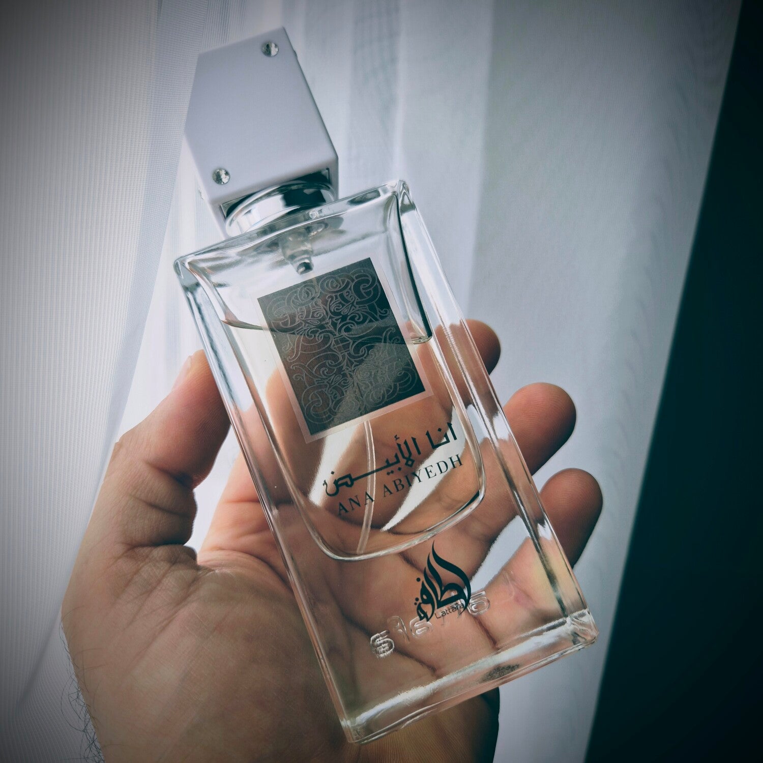 Ana Abiyedh