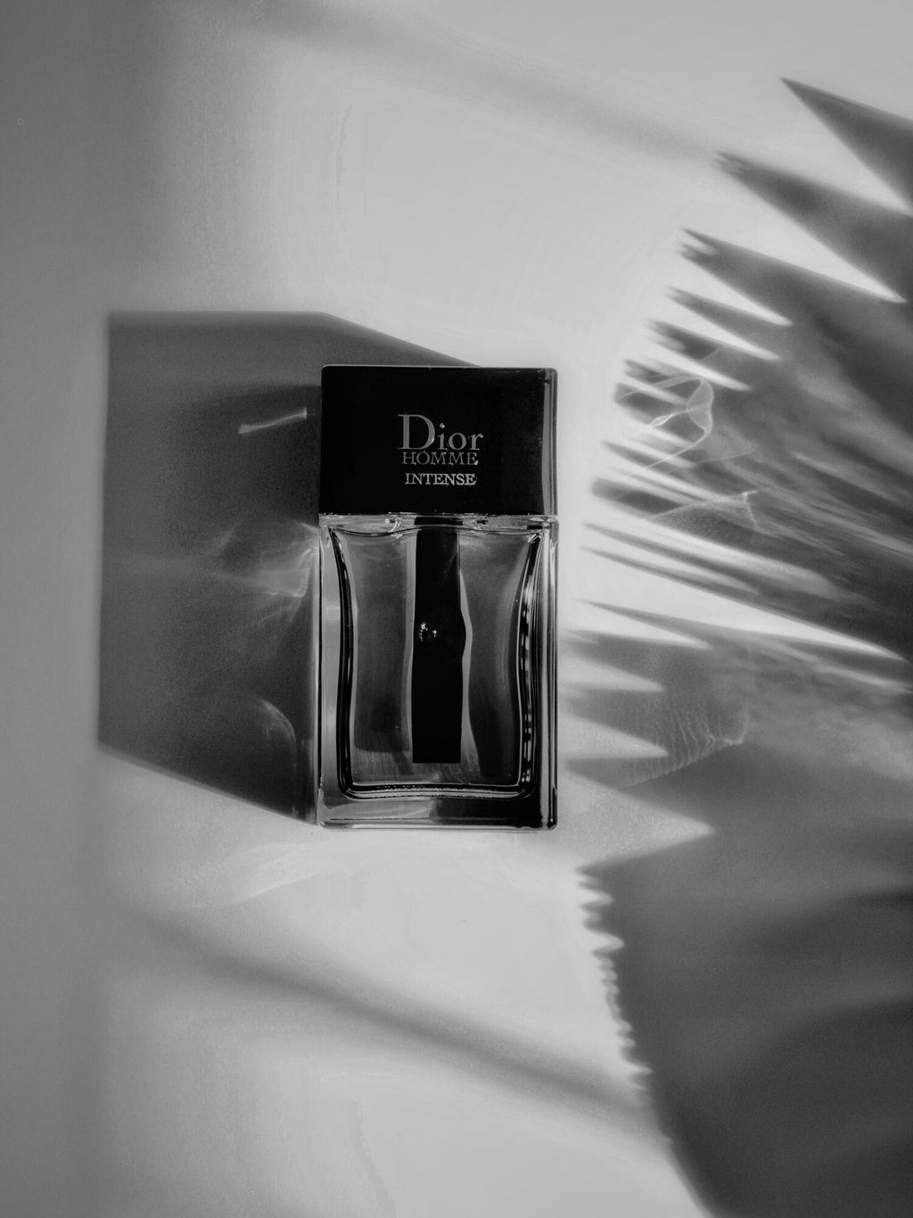 Dior Homme Intense