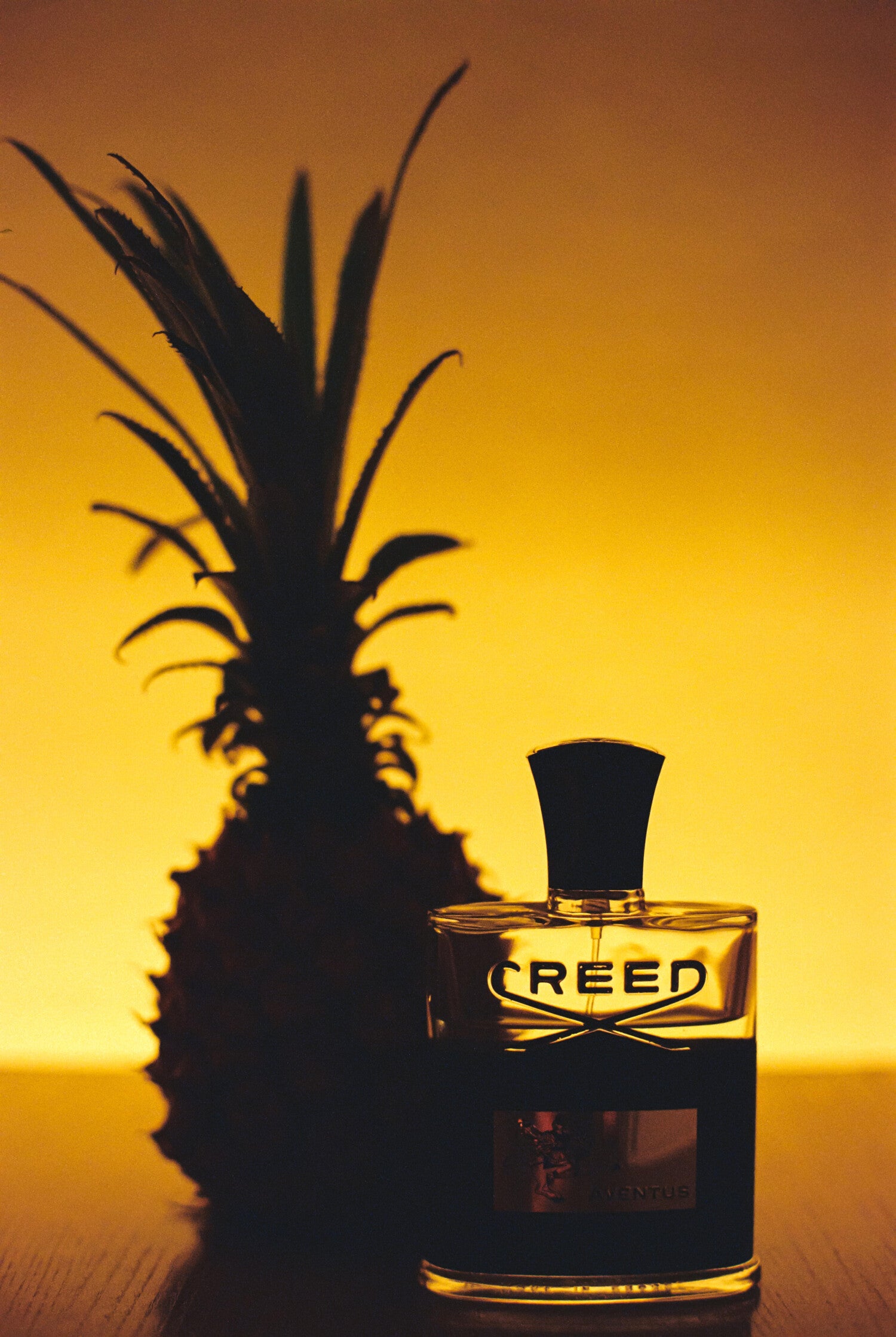 Creed Aventus
