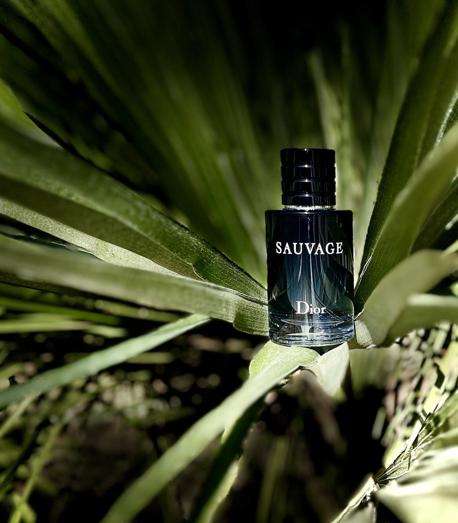 Dior Sauvage