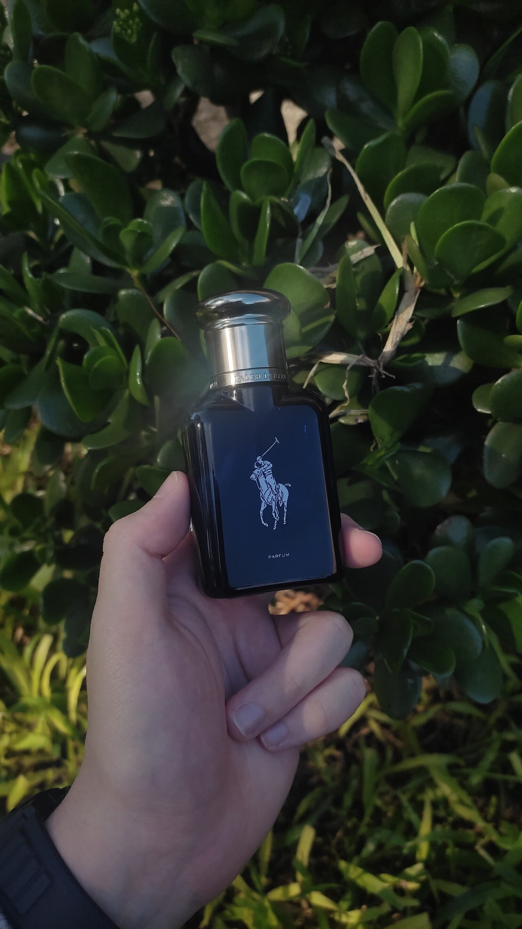 Polo Blue