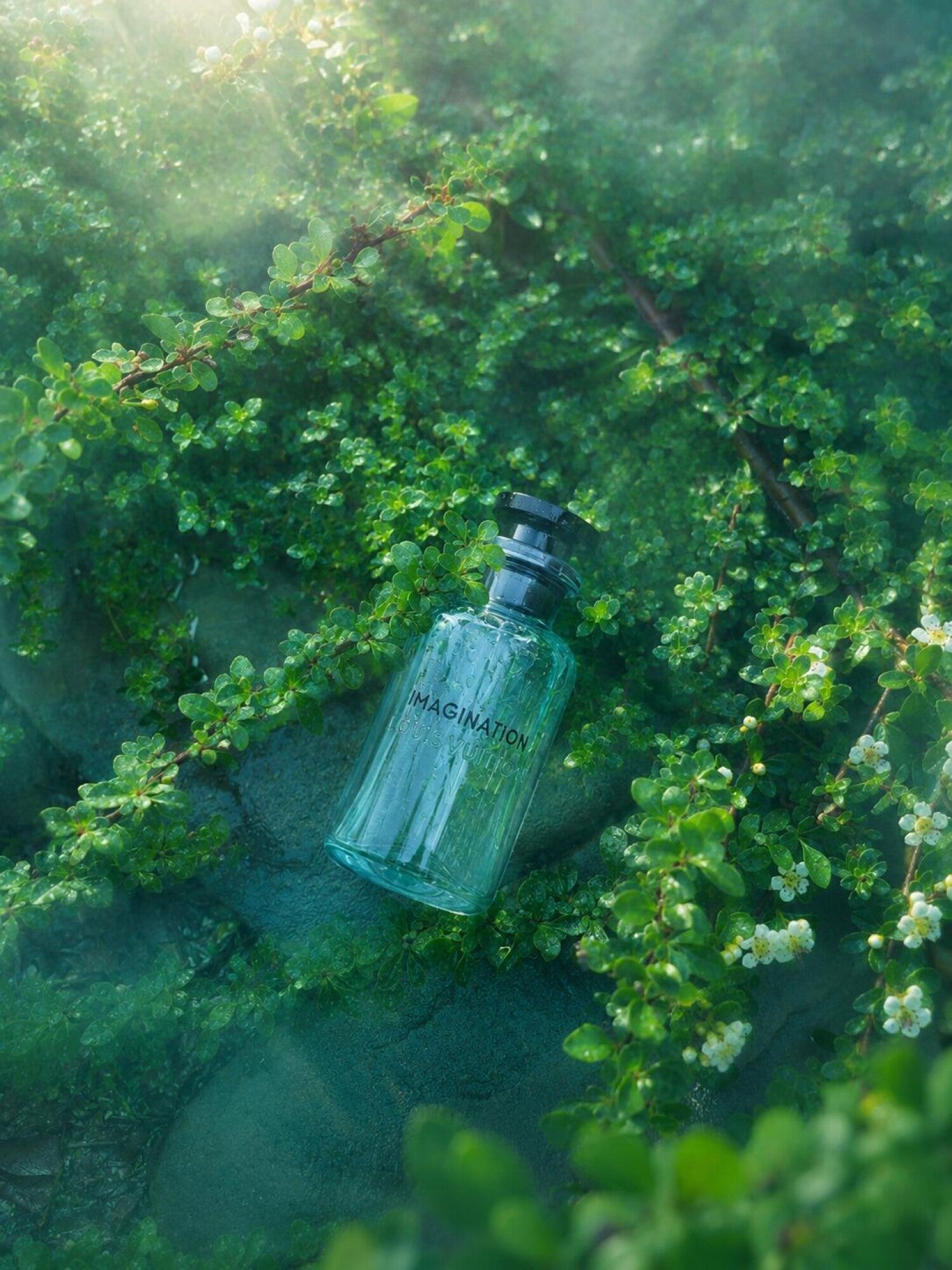 Louis Vuitton Imagination